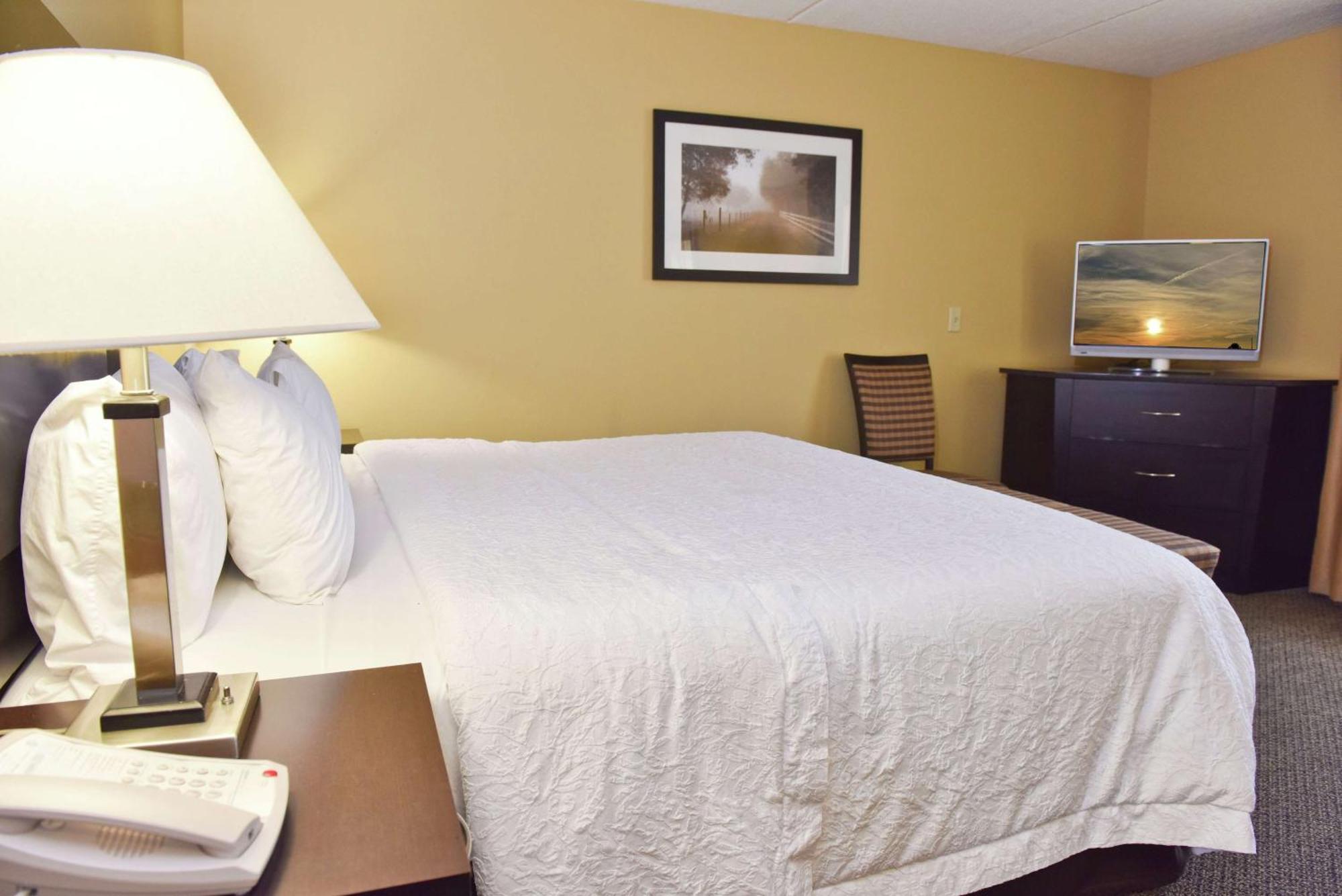 Hampton Inn & Suites Alexandria Dış mekan fotoğraf